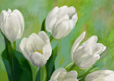 tulipani bianchi su richiesta